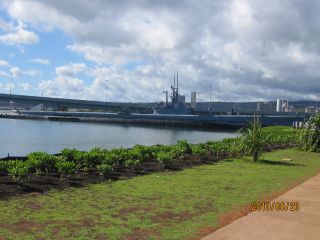 IMG_2340_320.jpg