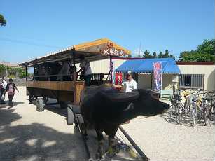 P1020157.jpg
