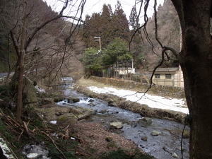 RIMG0729.JPG