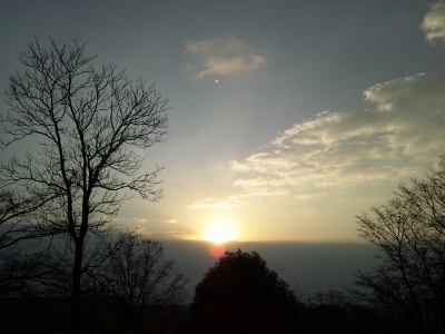 DSC_0424 (400x300).jpg