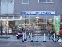 closeup_matsuiyamate_02.jpg