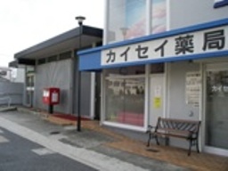 closeup_sakai_01.JPG