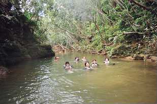 PICT0011.jpg